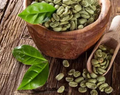 Green coffee beans in a wooden bowl, the source of the chlorogenic acid in SodaSlim