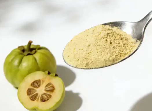 Garcinia cambogia fruit beside a spoon of garcinia extract powder used in SodaSlim